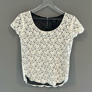 Talula Lace Top